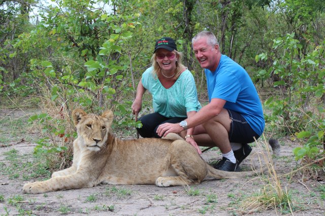 Gill and Mark with Lion in South Africa